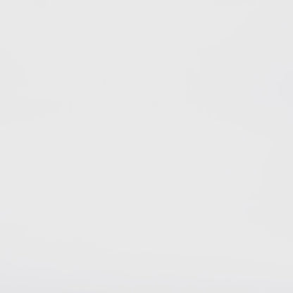 TS22 Totes Double Buckle Mens Slide 